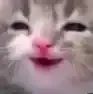 Avatar de kanja