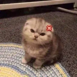 Avatar de katboyken