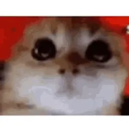 Avatar de LeBrebaDuh