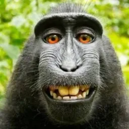 Avatar de Juao
