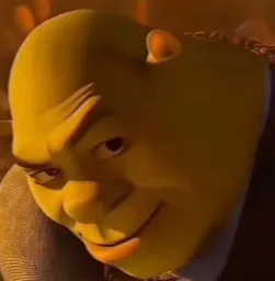 Avatar de oku