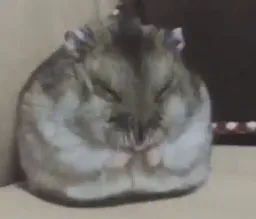 Avatar de dannalana