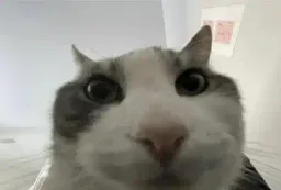 Avatar de kra_kuba