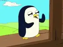 Avatar de davi