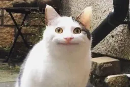 Avatar de huynhnguyentan