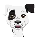 Avatar de kappe