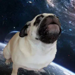 Avatar de henry