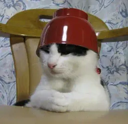 Avatar de Katriv