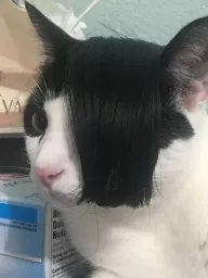Avatar de kuineje
