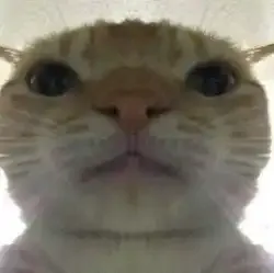 Avatar de dobby