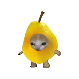 Avatar de pipa3