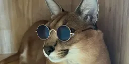 Avatar de Robert