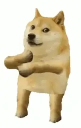 Avatar de dogeja_park